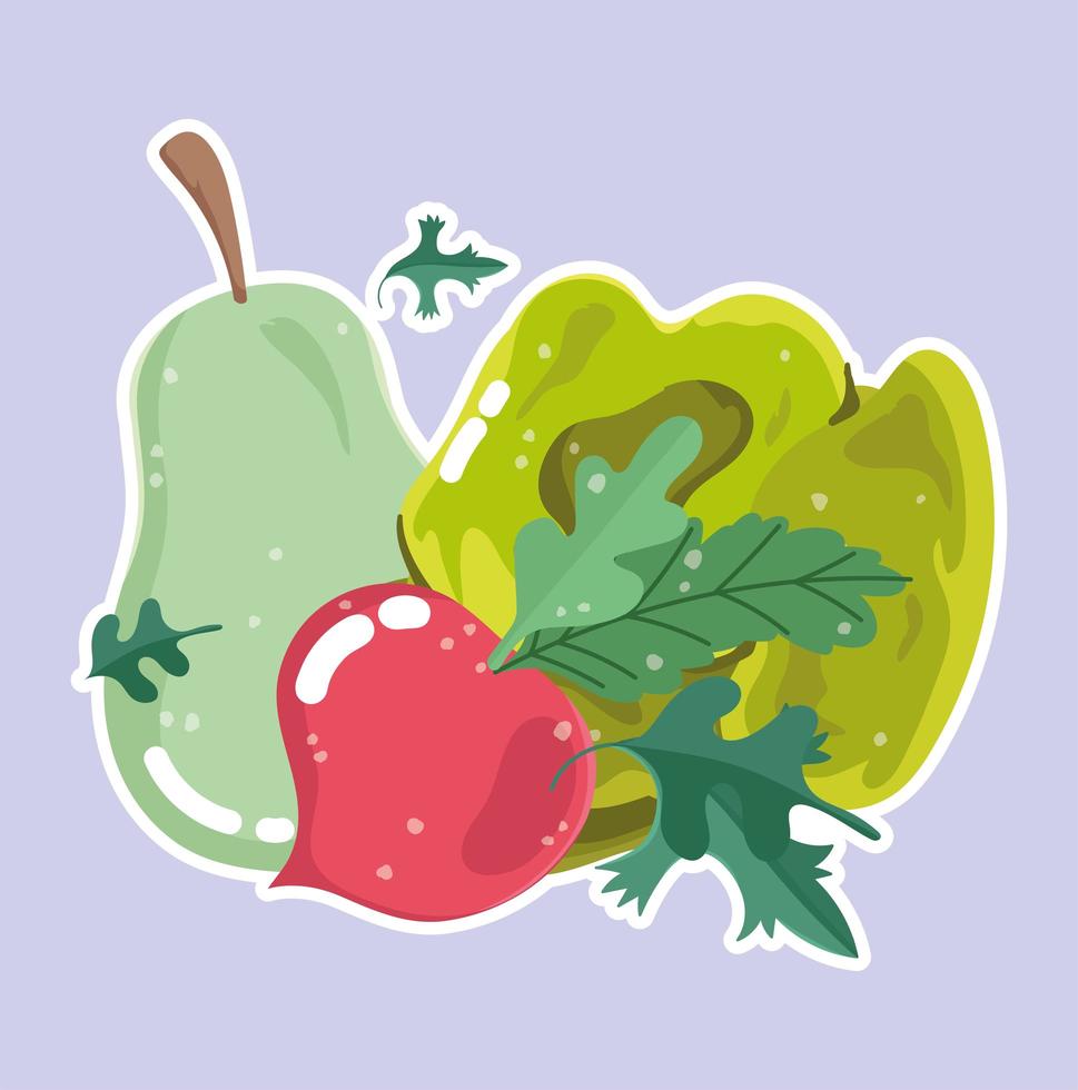 Food vegetable menu. Pear, radish, and lettuce vector