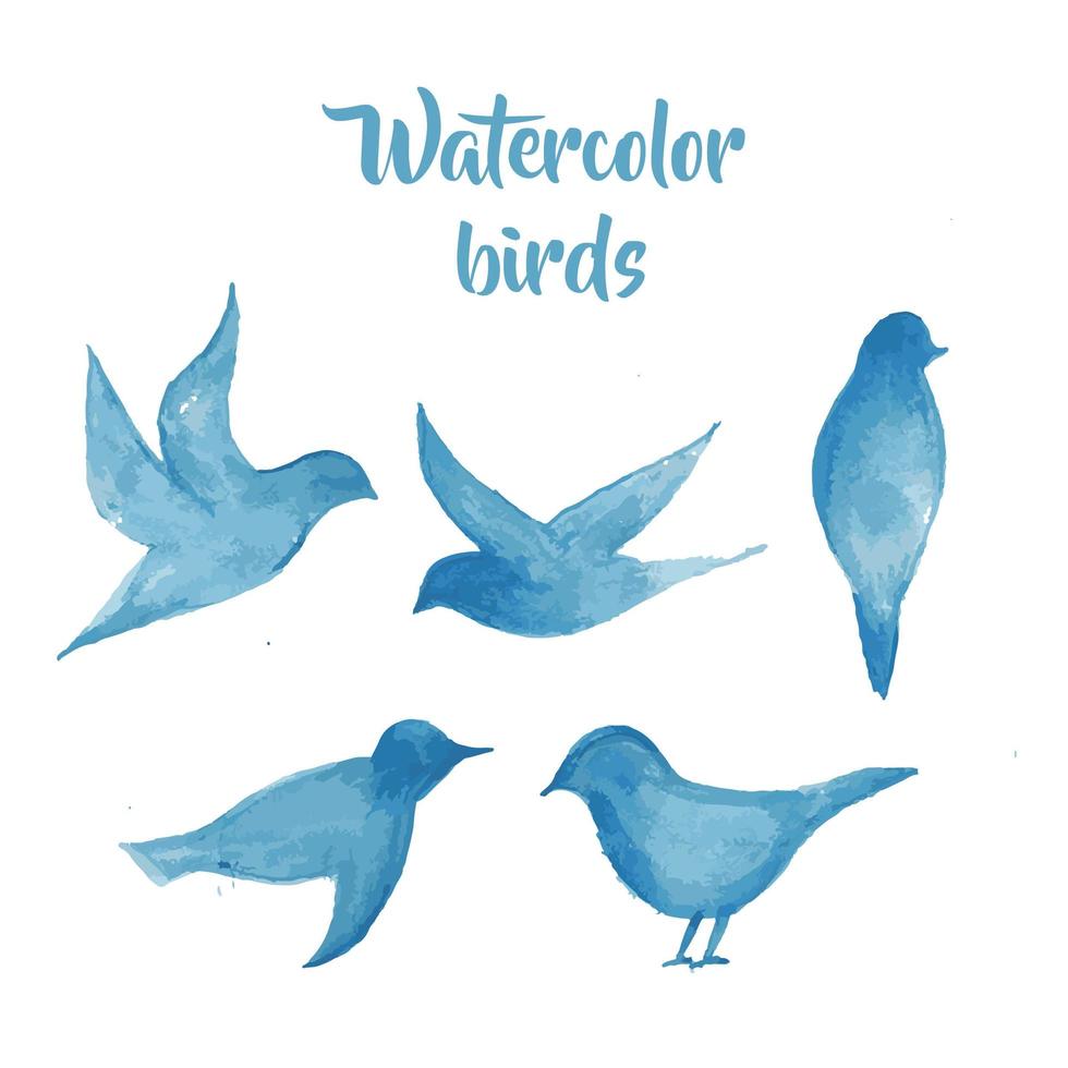 Birds in watercolor vector