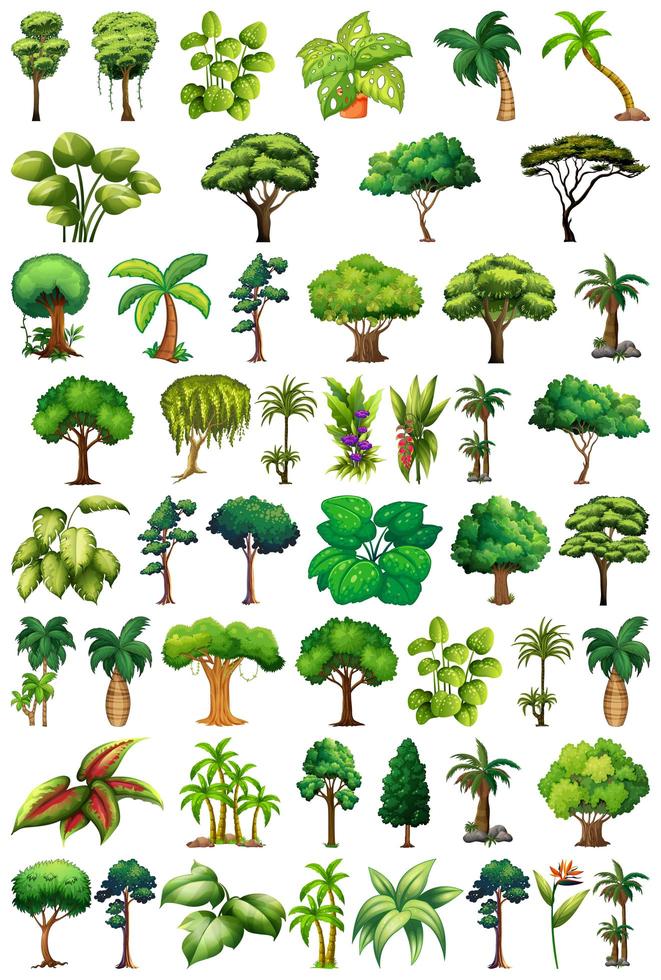 conjunto de variedad de plantas y árboles. vector