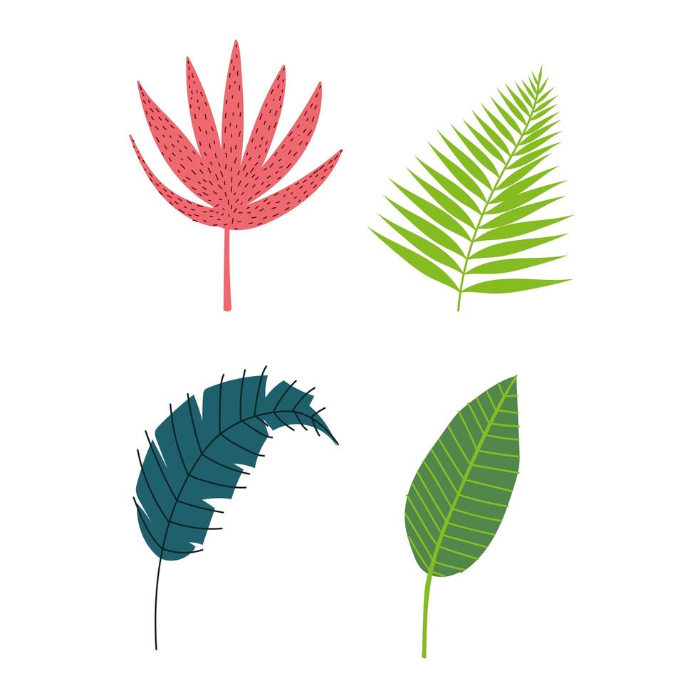 Set of tropical leaves and foliage  vector