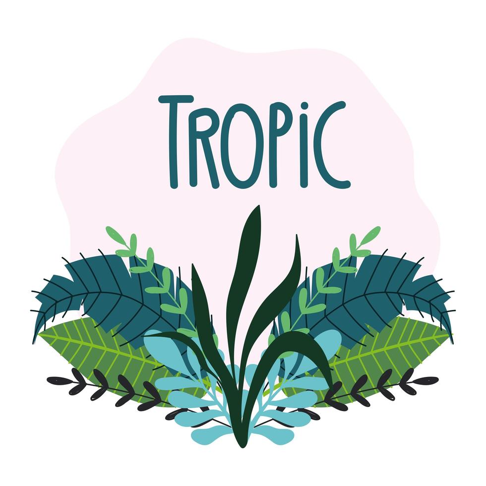 hojas tropicales y follaje con letras vector