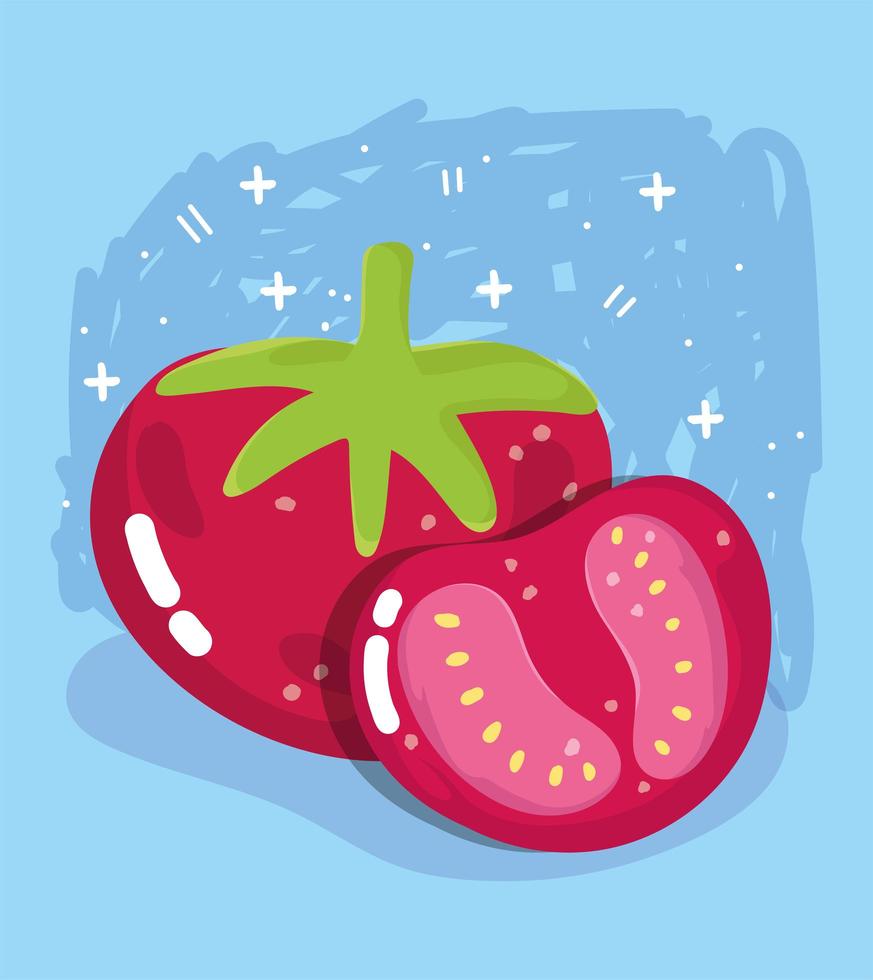 Fresh food vegetable menu. Whole and sliced tomato vector