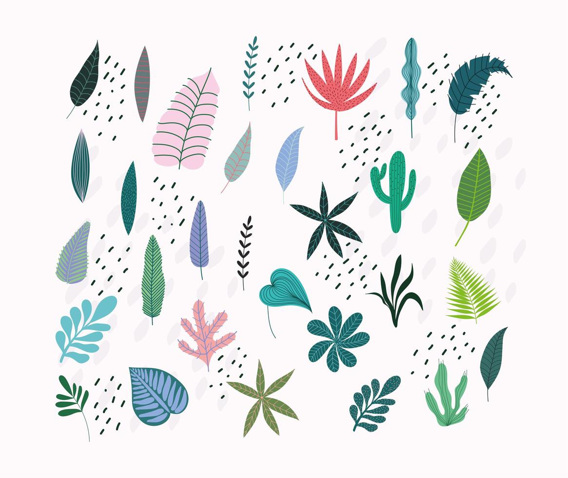 Tropical leaves and foliage vector