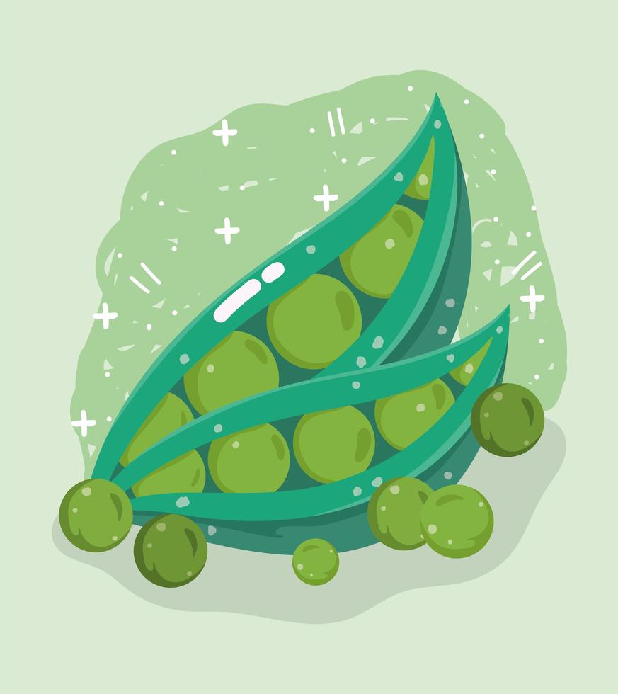 Fresh food vegetable menu. Pea pods vector