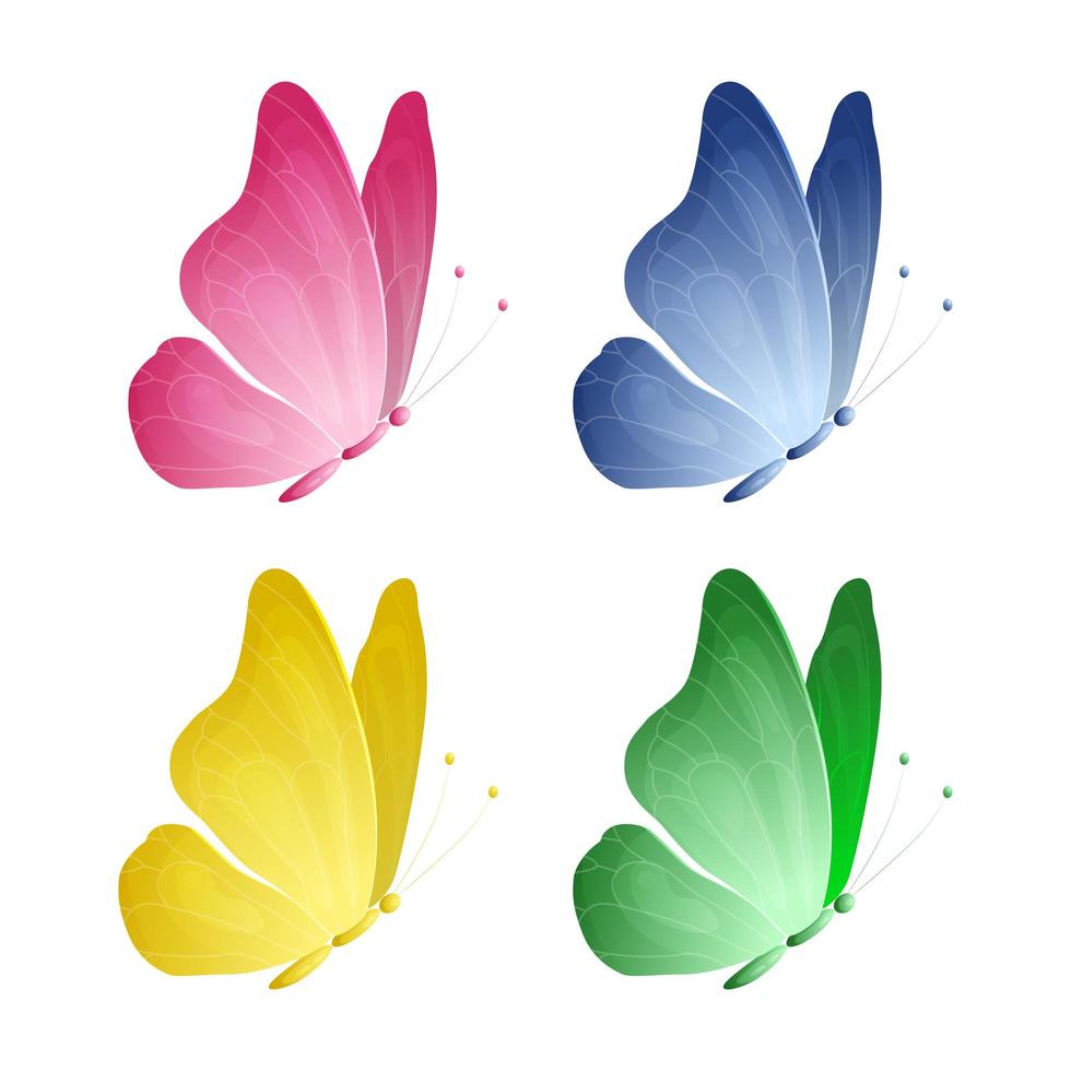 Set of beautiful butterflies with different colors vector