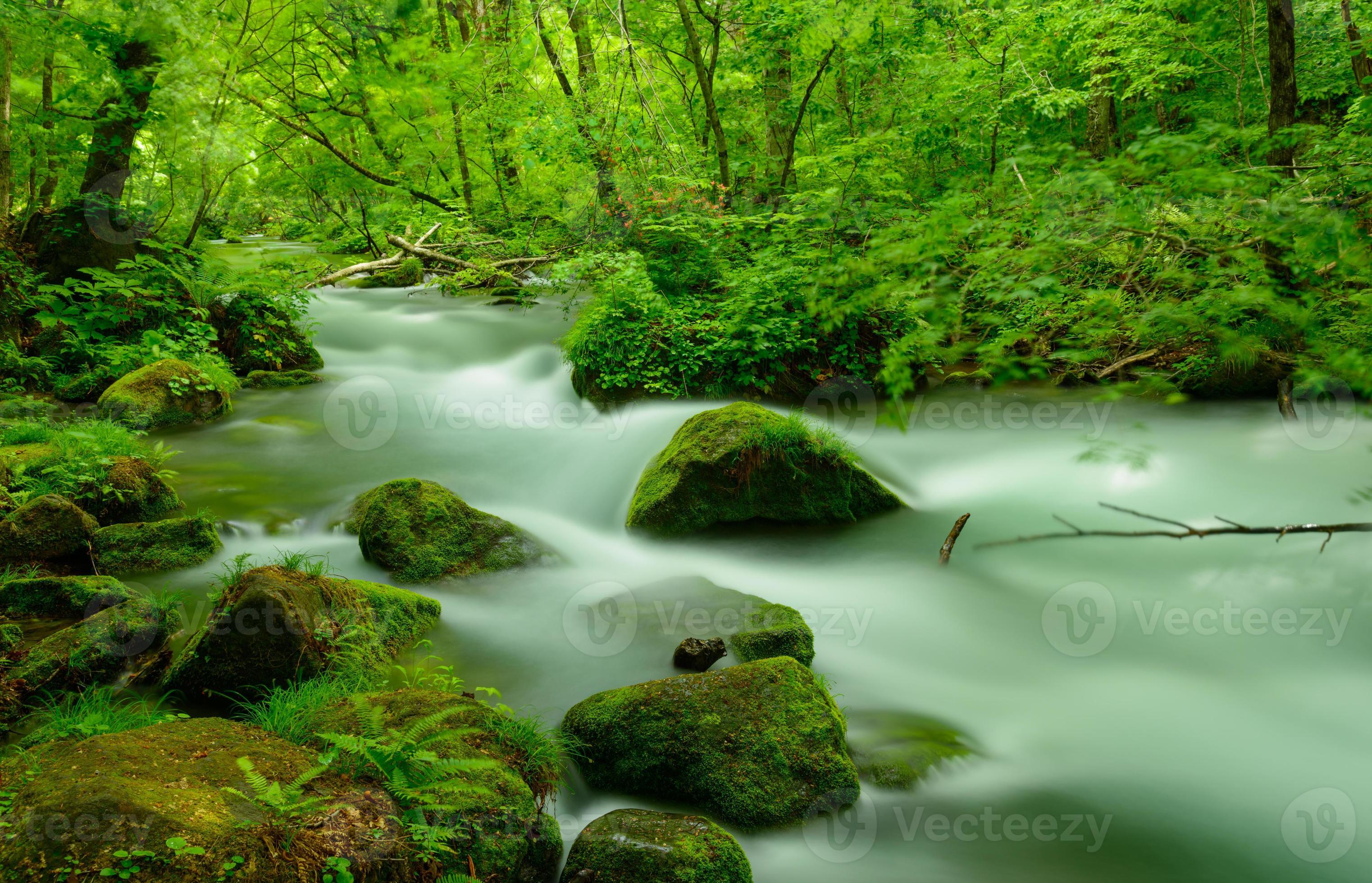 Oirase Gorge In Aomori Japan Stock Photo At Vecteezy