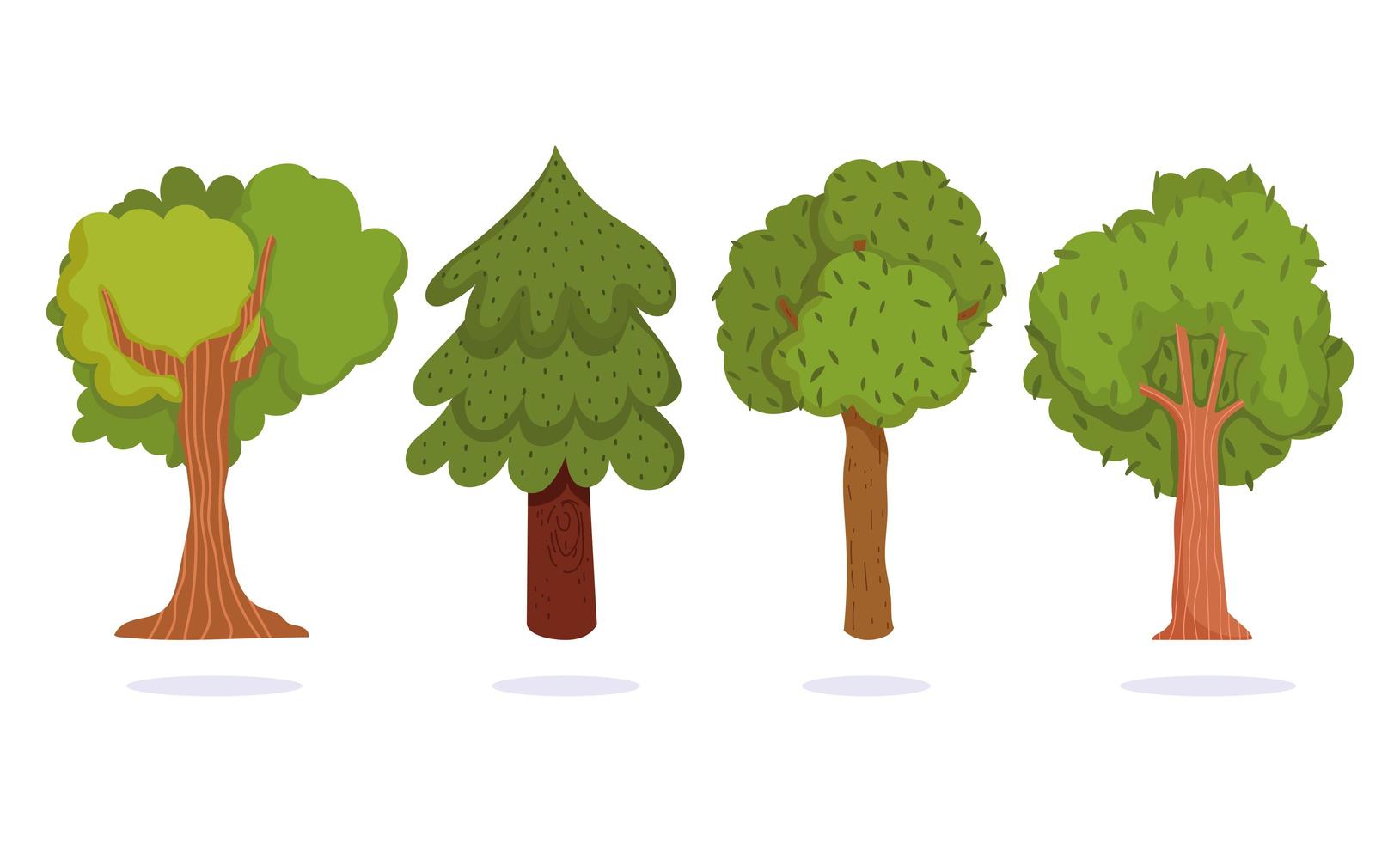 Greenery trees. Forest botanical foliage nature vector