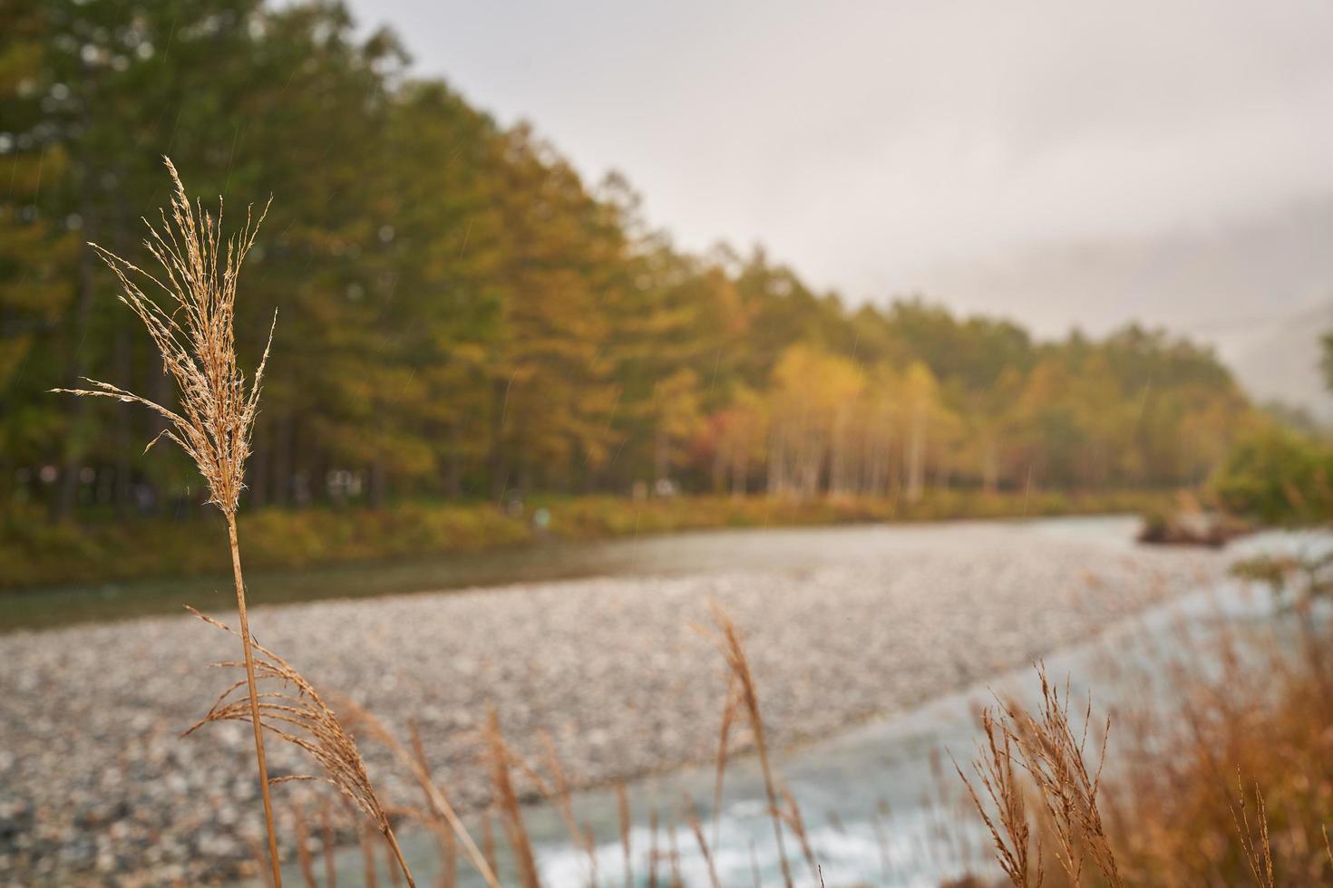 Autumn landscape with colorful trees photo