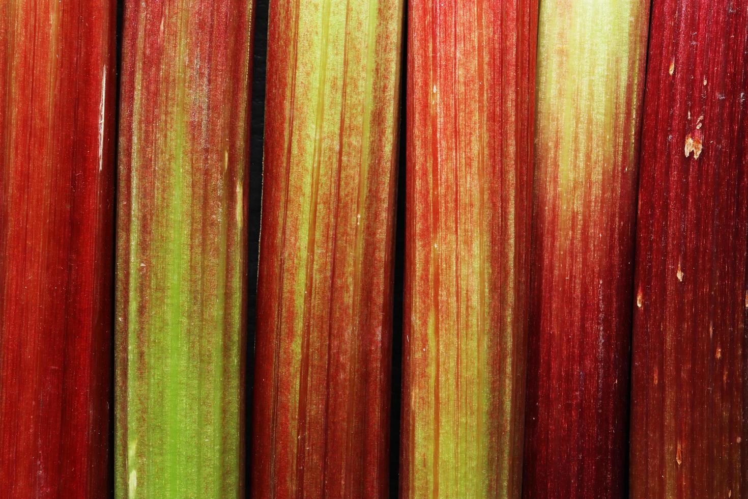 Macro shot of rhubarb photo