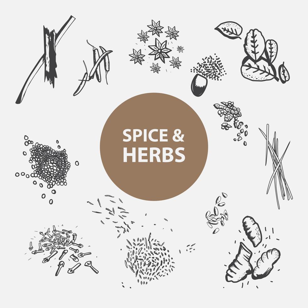 Spice and Herbs Hand Drawn Set vector