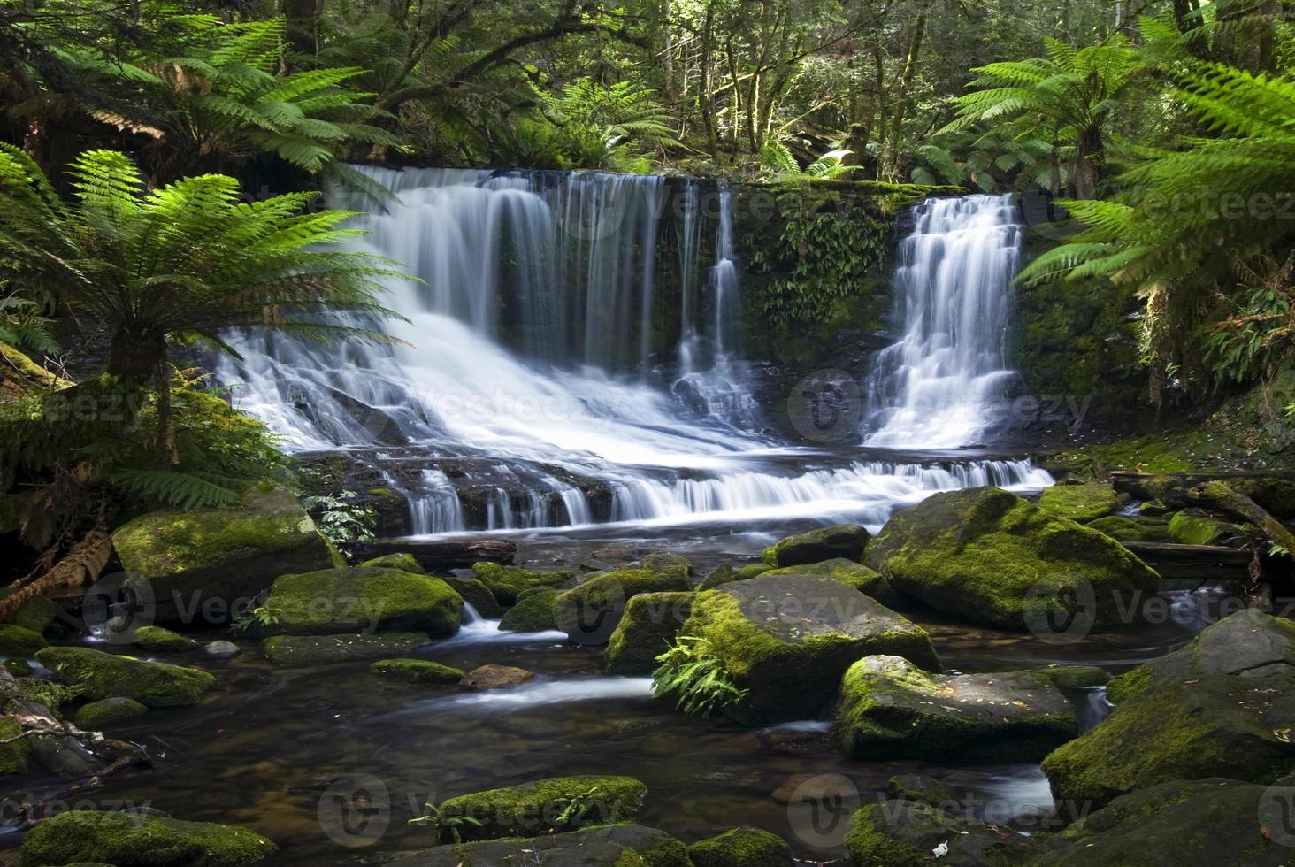 Horseshoe Falls, Mount Field National park, Tasmania, Australia photo