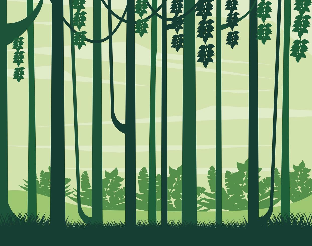 Foggy woods landscape background vector