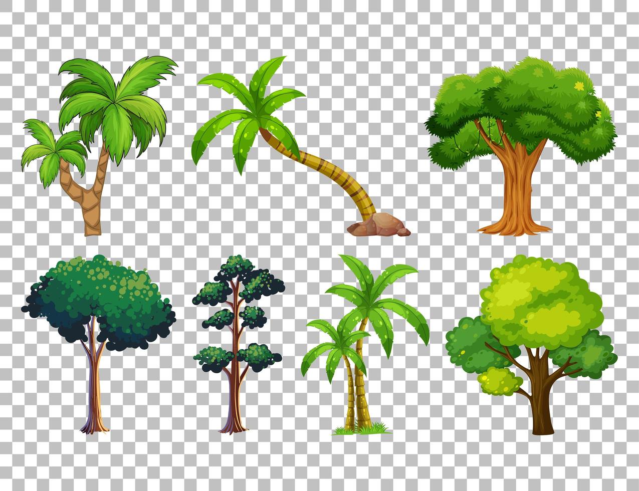 Set of Tree on Transparent Background vector
