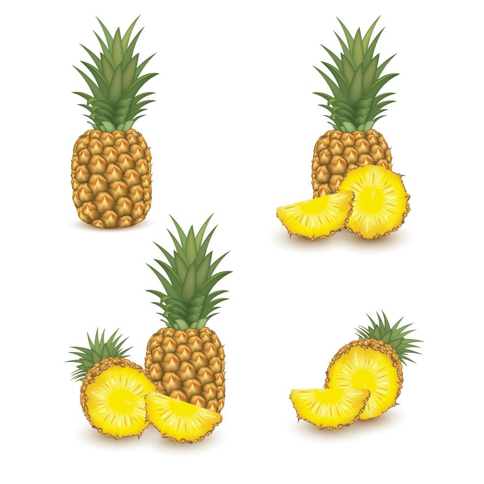 conjunto de frutas de piña realista vector