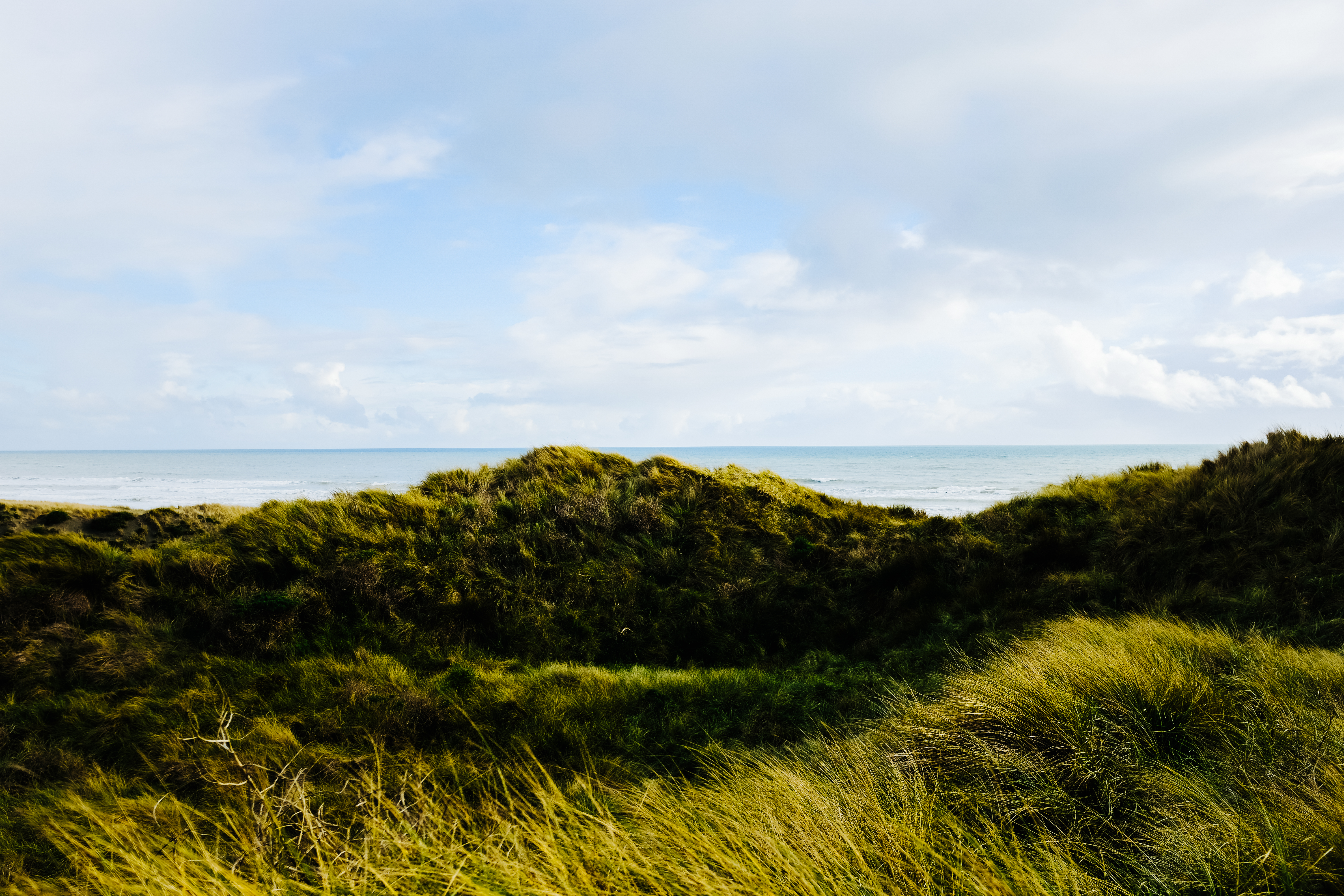 бретань море и цветы. холмы берег моря. вид на море с холма. рассвет на море. мыс чауда маяк.