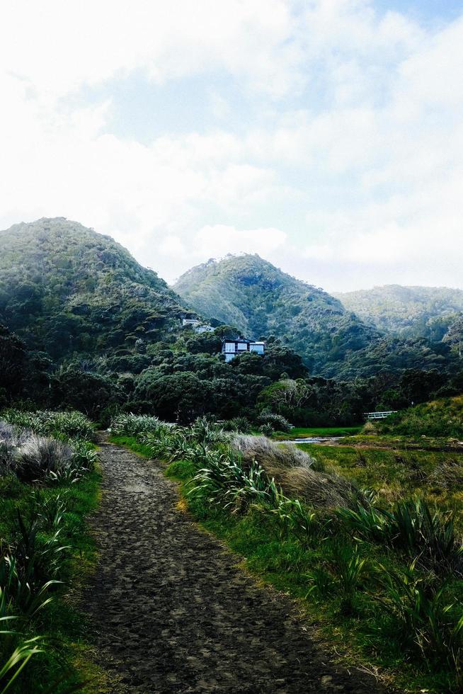 Pathway leading to the hills photo