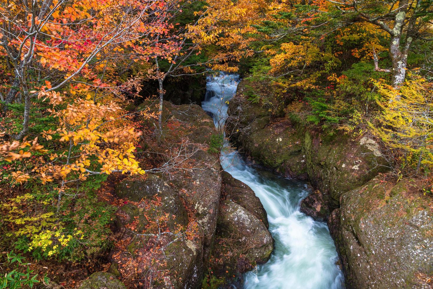 Waterfall with autumn leaves in Japan photo