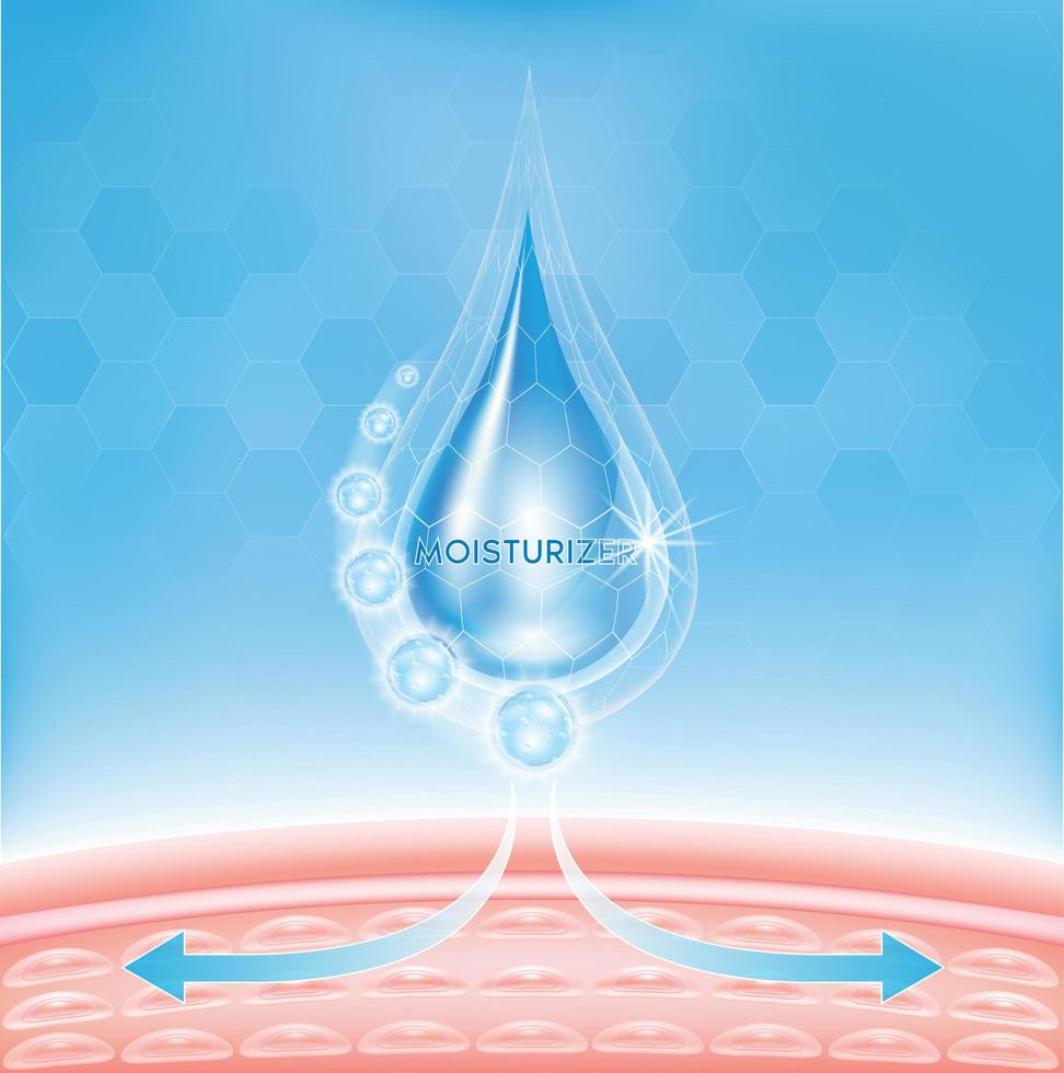 Moisture being absorbed into the skin  vector