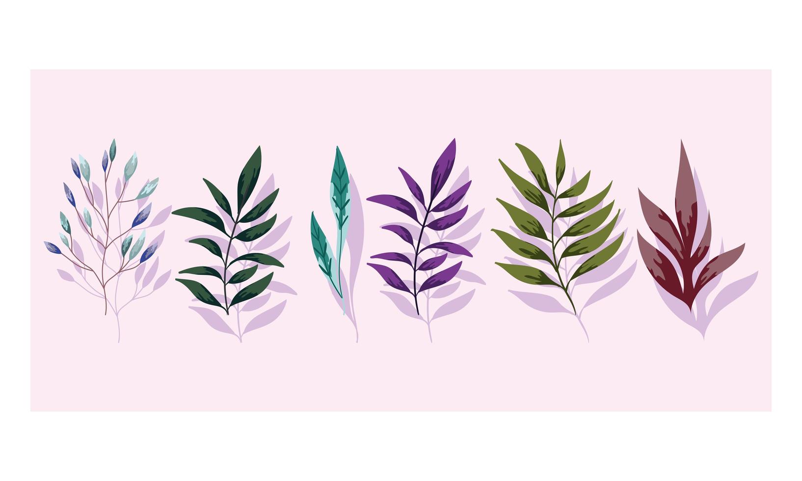 Branches foliage. Flora greenery nature design vector