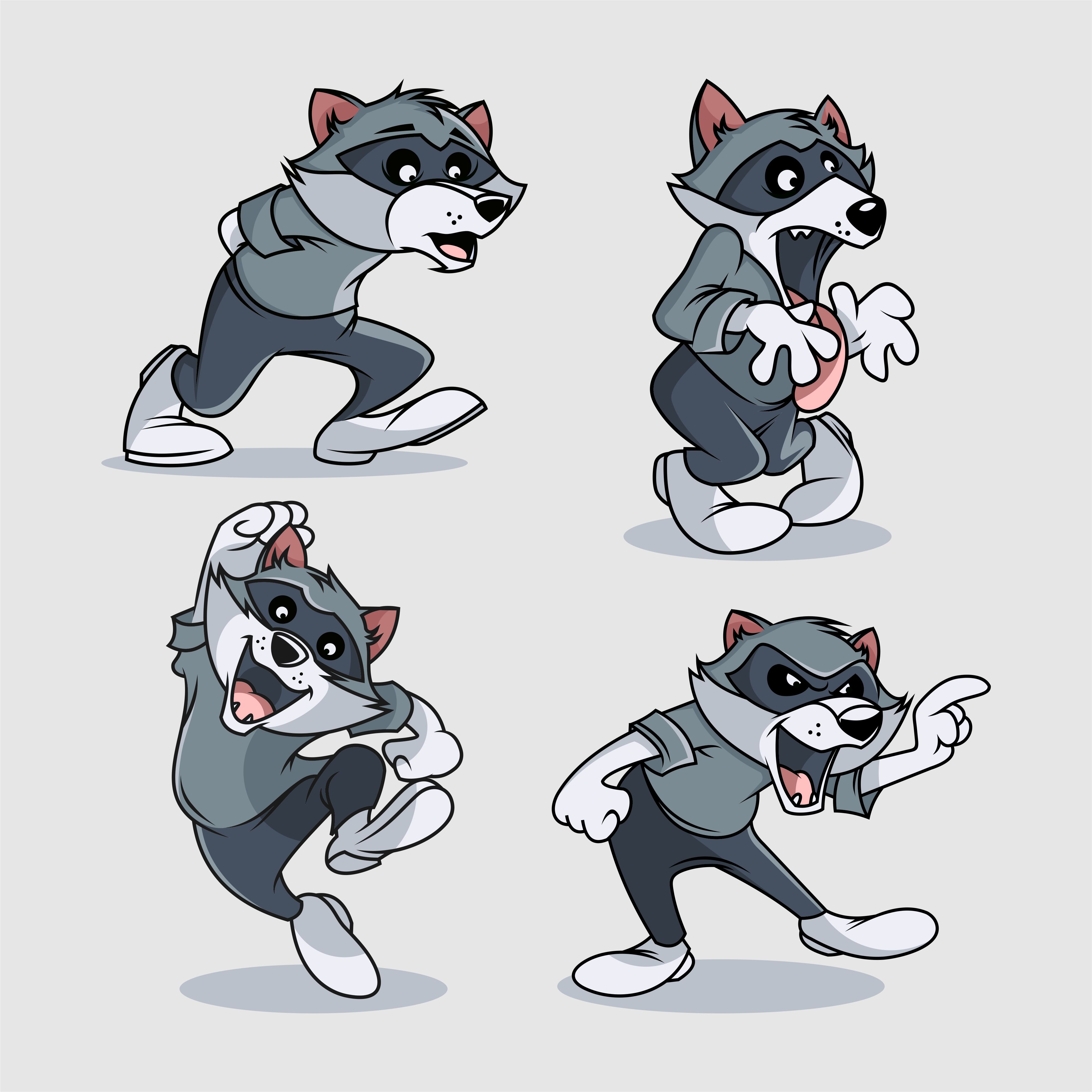 raccoon cartoon characters