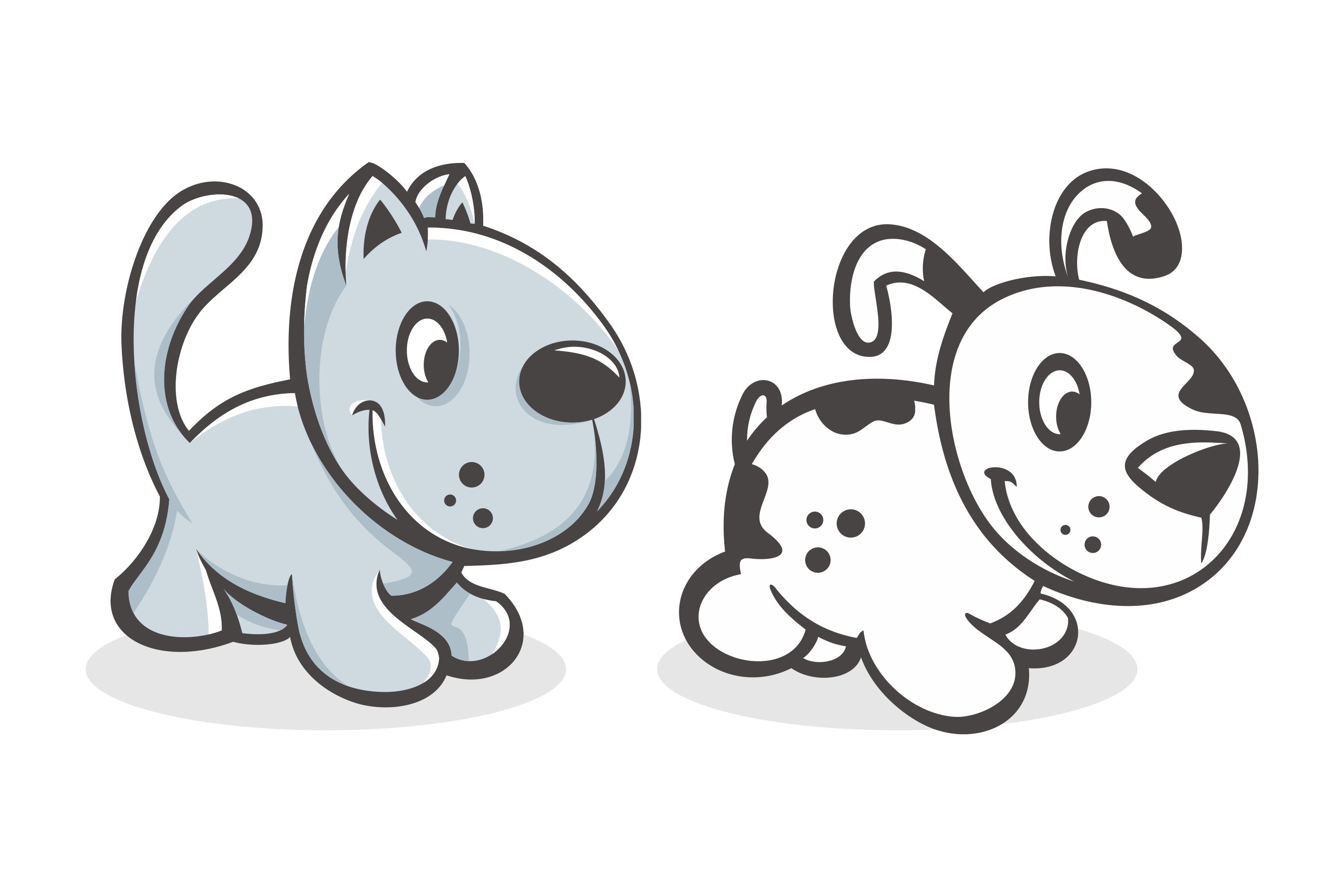 baby cat dog