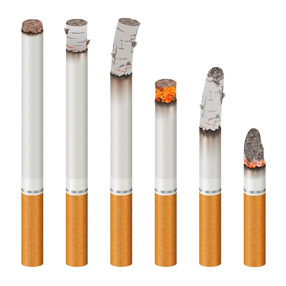 Set of realistic cigarettes burning vector
