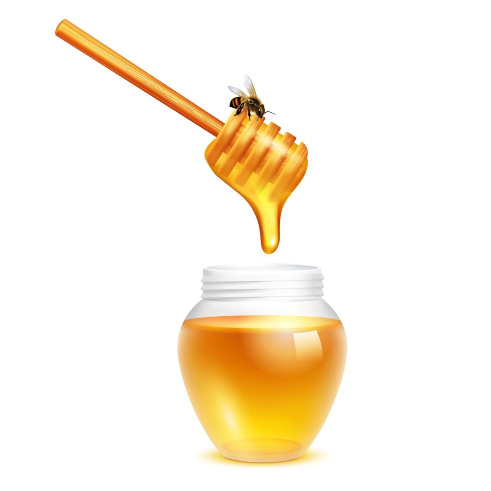 Realistic honey dipper and jar  vector