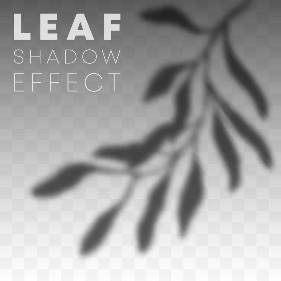 Leaf shadow overlay effect vector