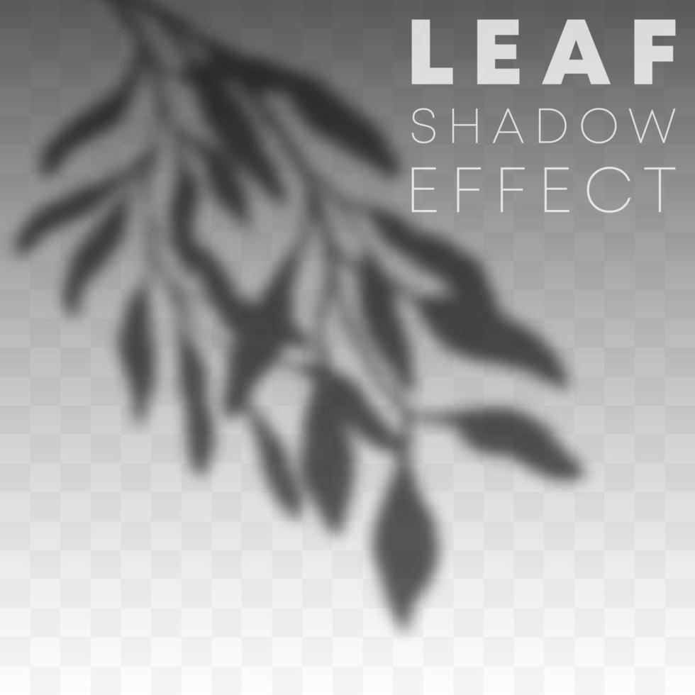 Leaf shadow overlay effect vector