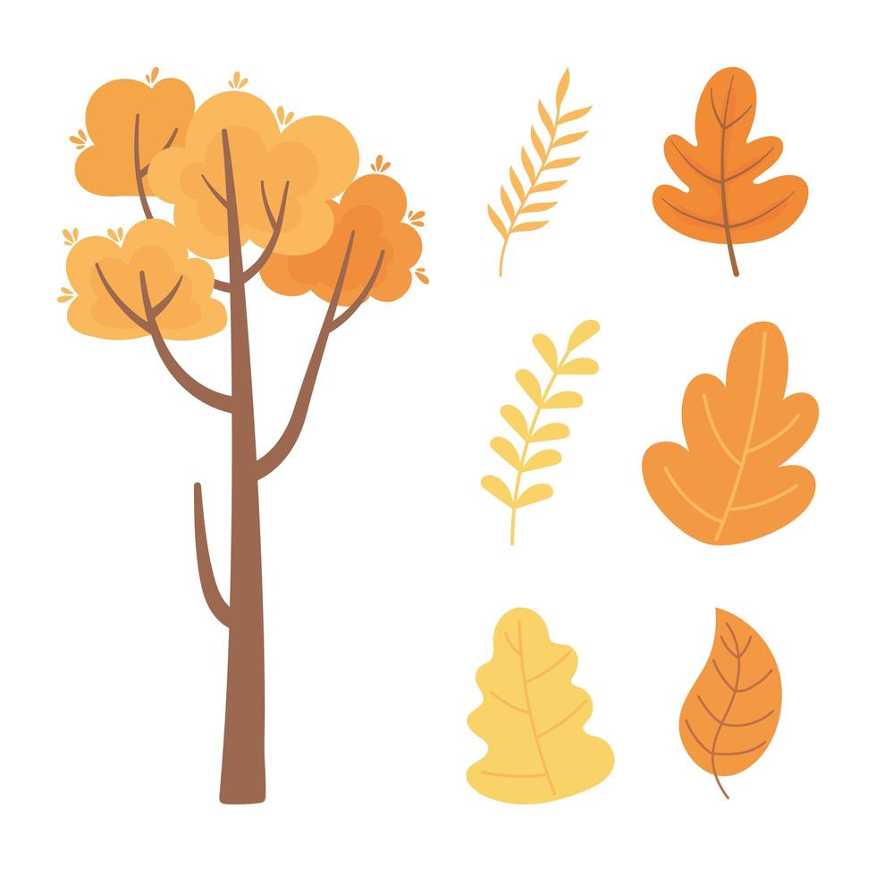 Autumn nature tree, branches and leaf foliage icons  vector