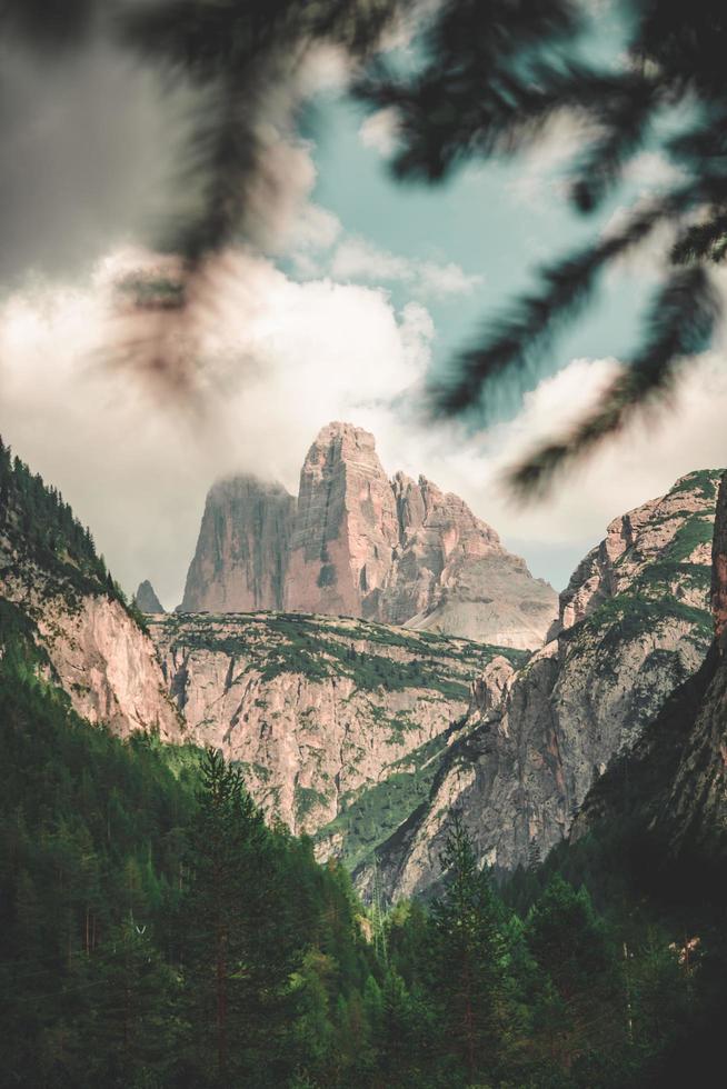 Forest near mountain photo