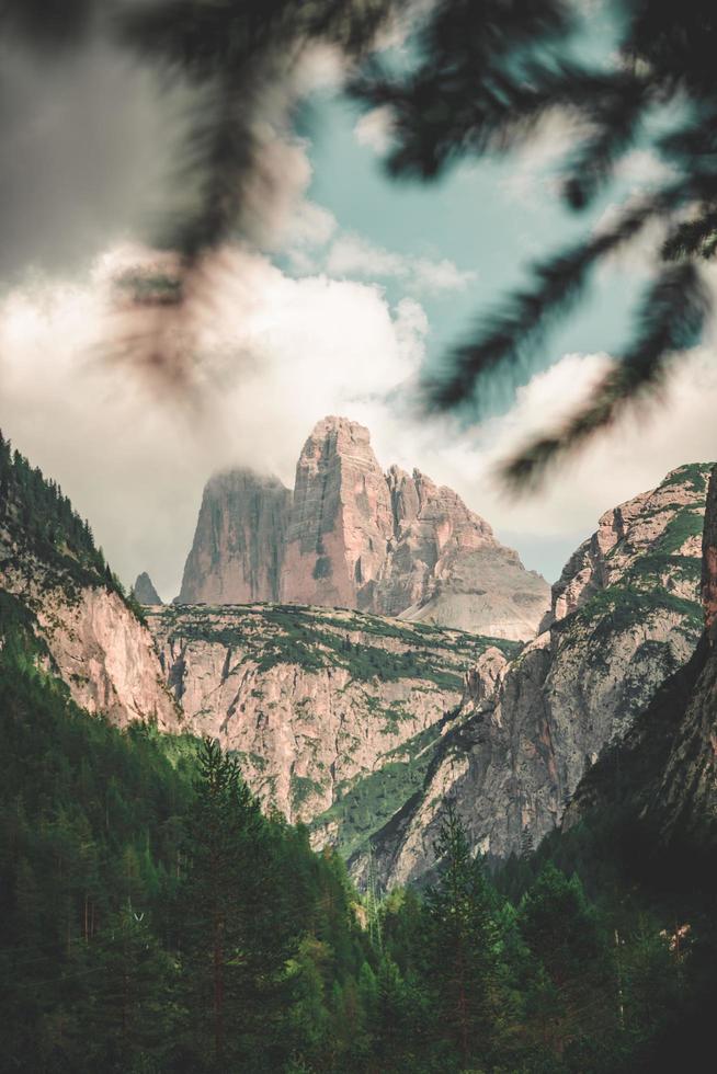 bosque cerca de la montaña foto