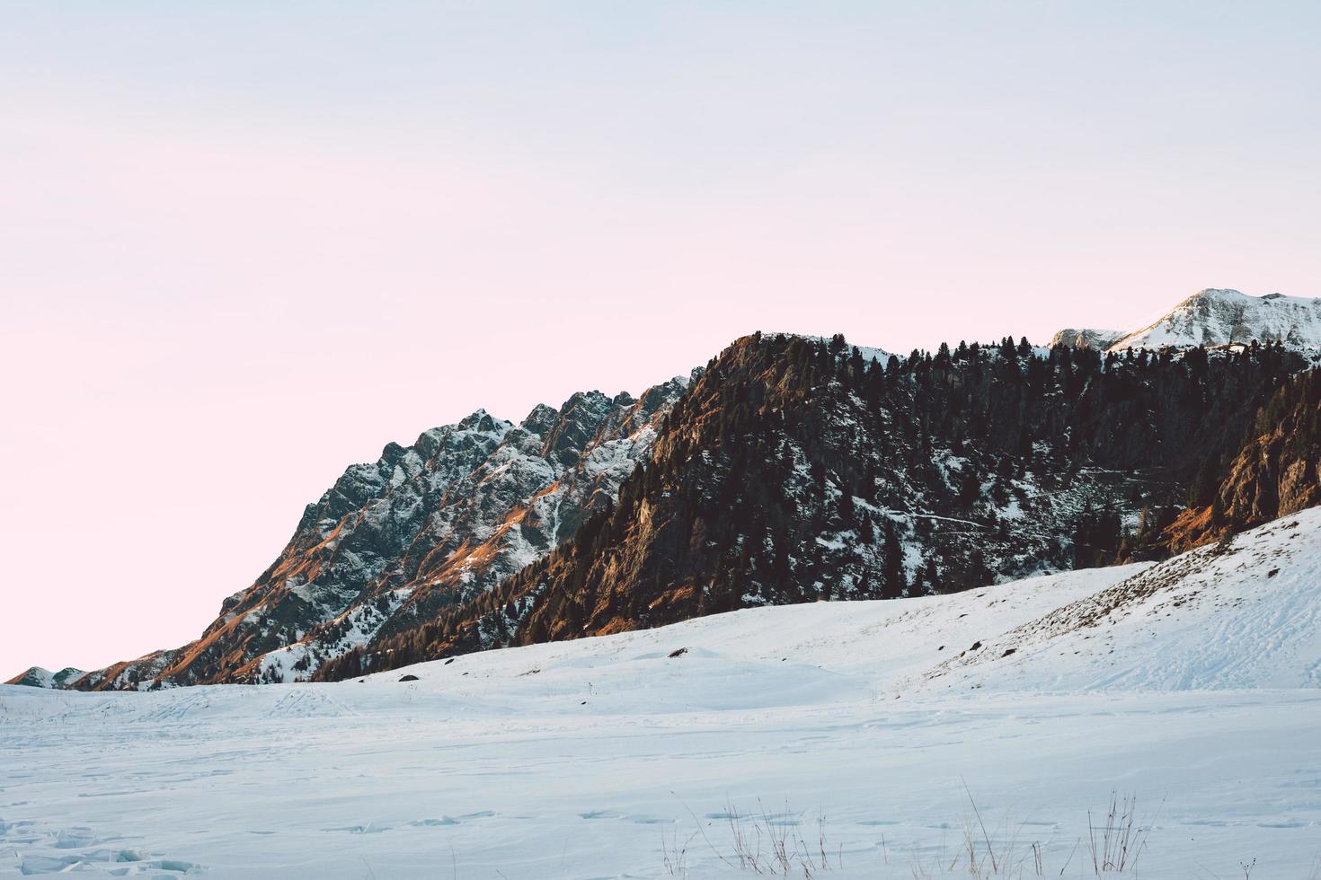 Snow covered field under white sky  photo