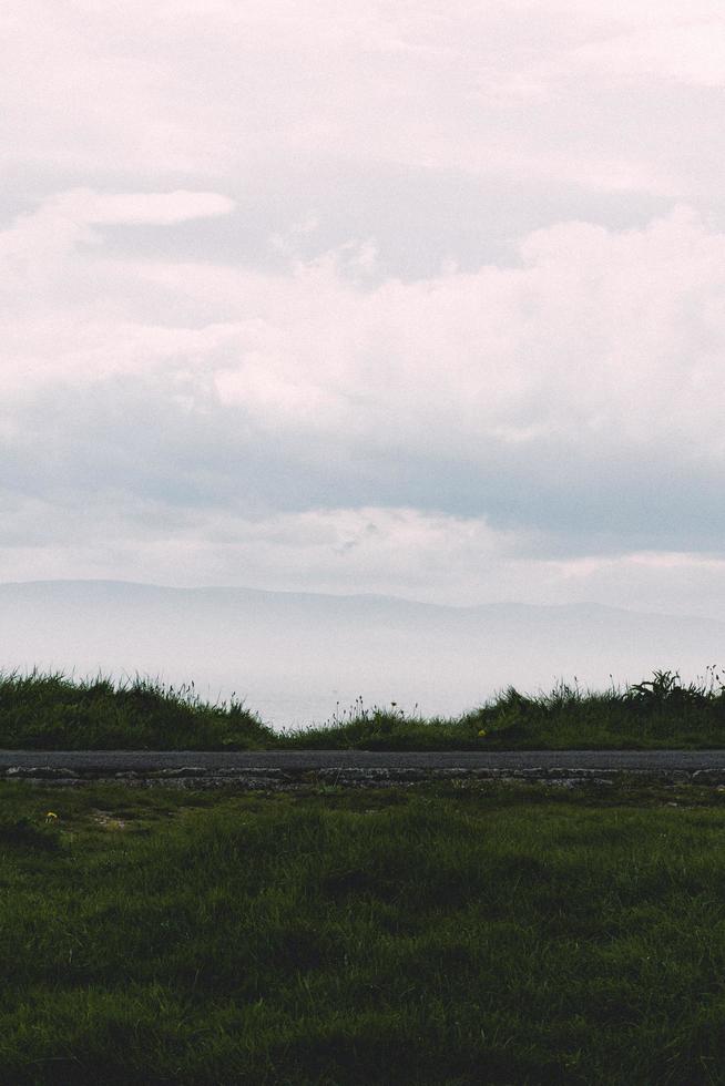 Green plants under cloudy sky photo