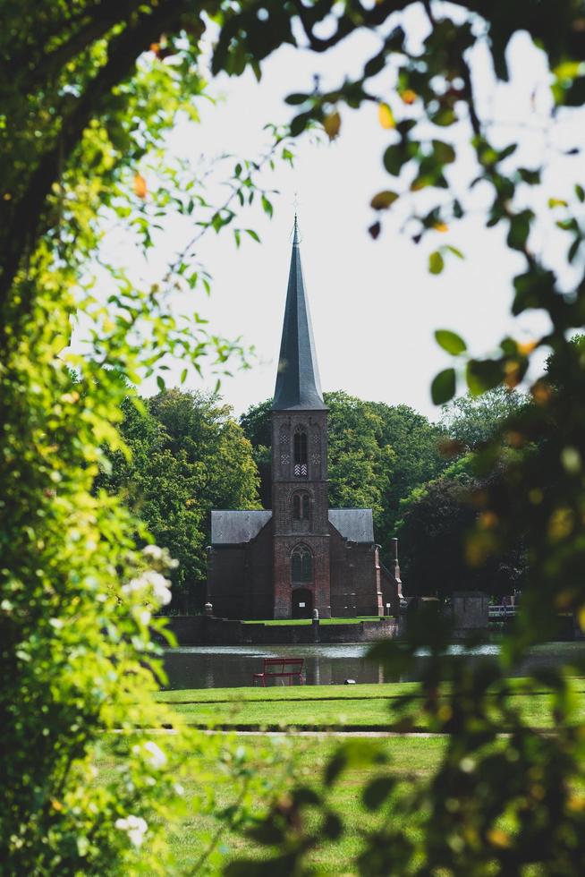 Castle steeple from the woods photo