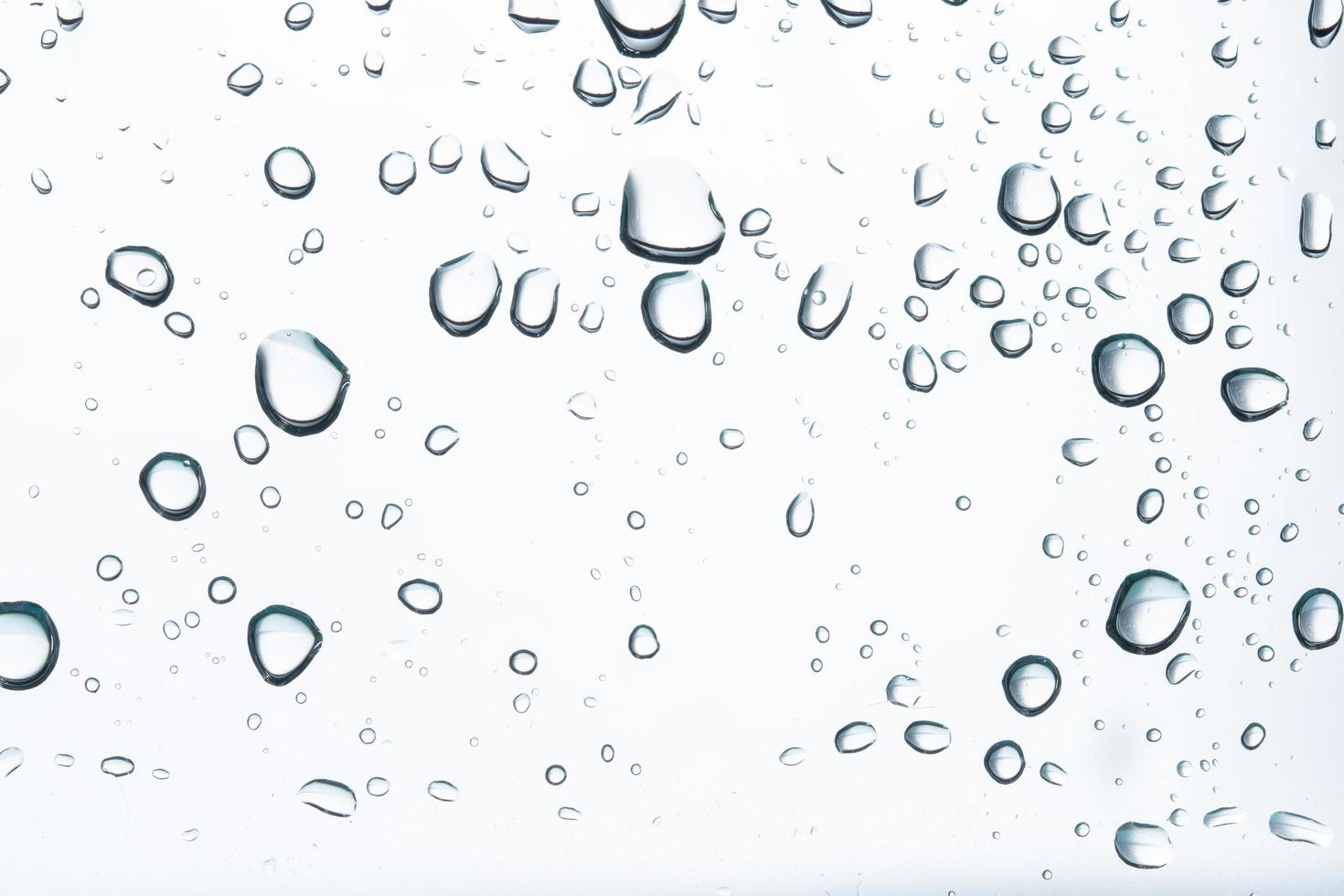 Water droplets on white background photo