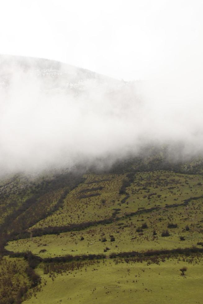 Beautiful foggy day photo