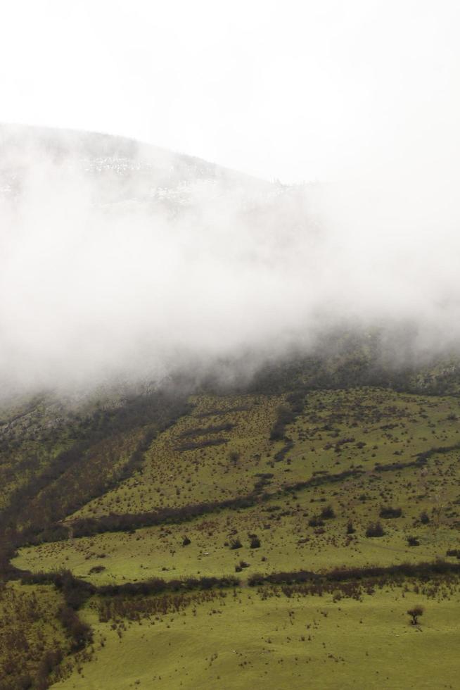 hermoso día de niebla foto