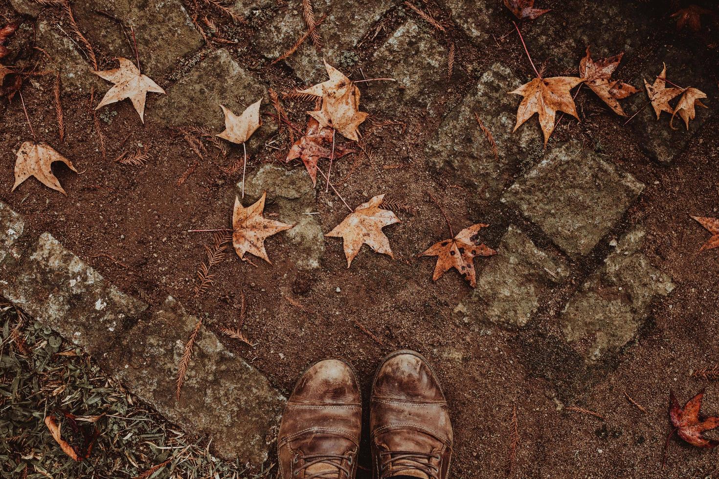 Person wearing brown leather boots photo