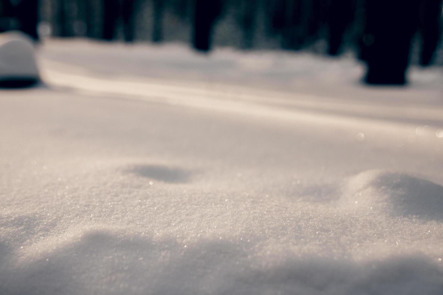 Powdery white snow photo