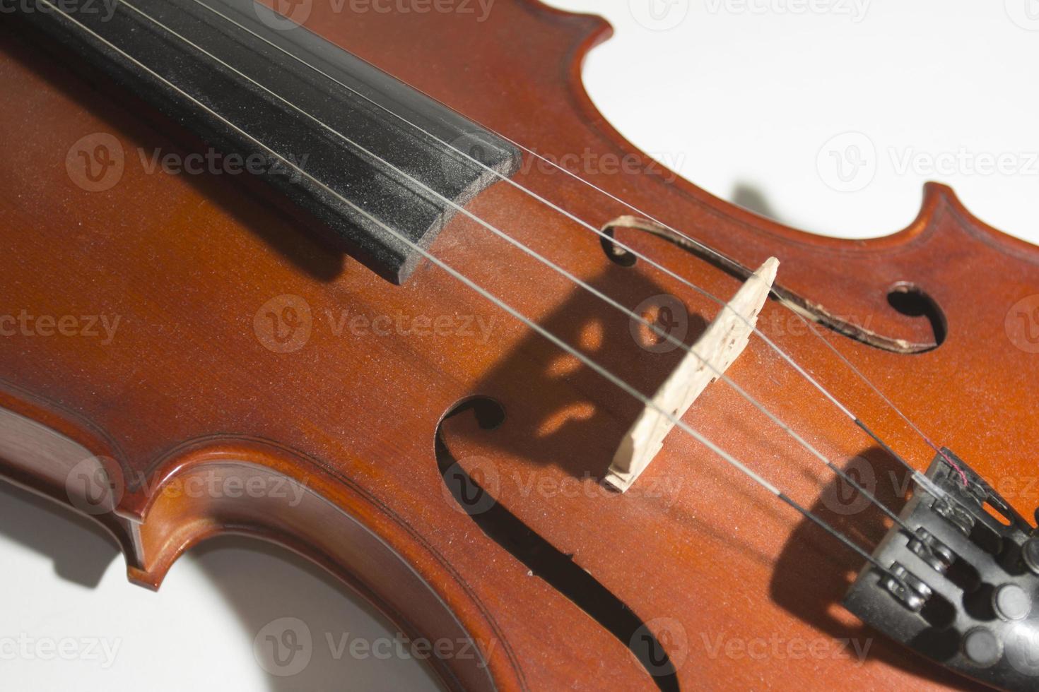 cuerdas de violín foto