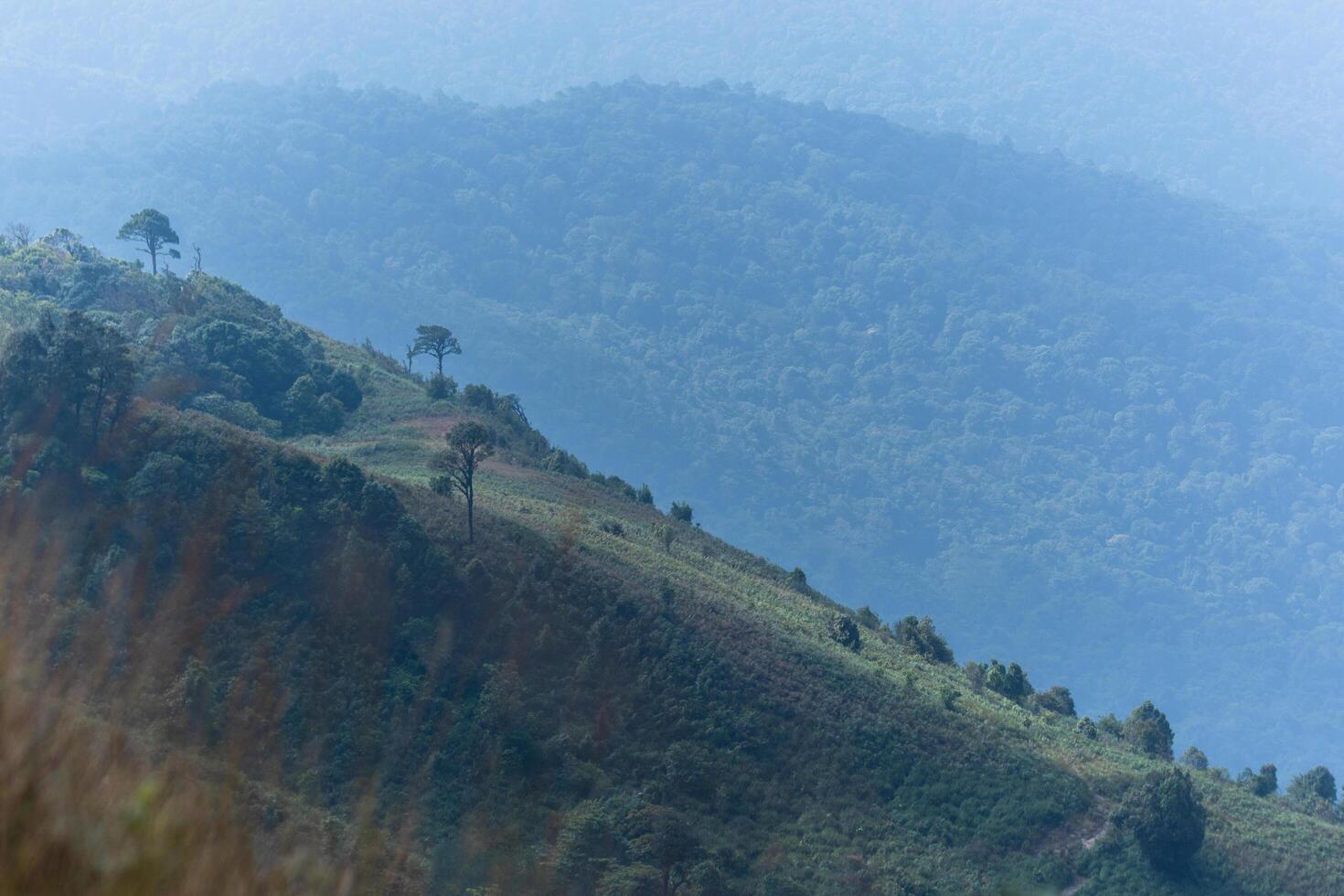 Landscape at Kew Mae Pan, Thailand photo