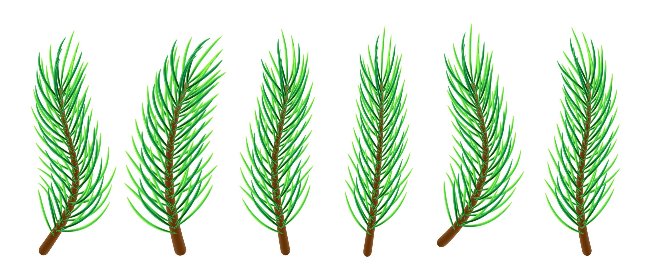 ramas de arbol de navidad vector