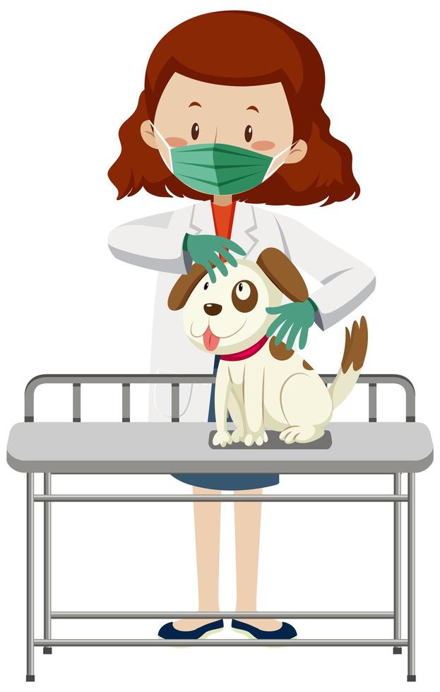 Veterinarian wearing mask and examining dog vector