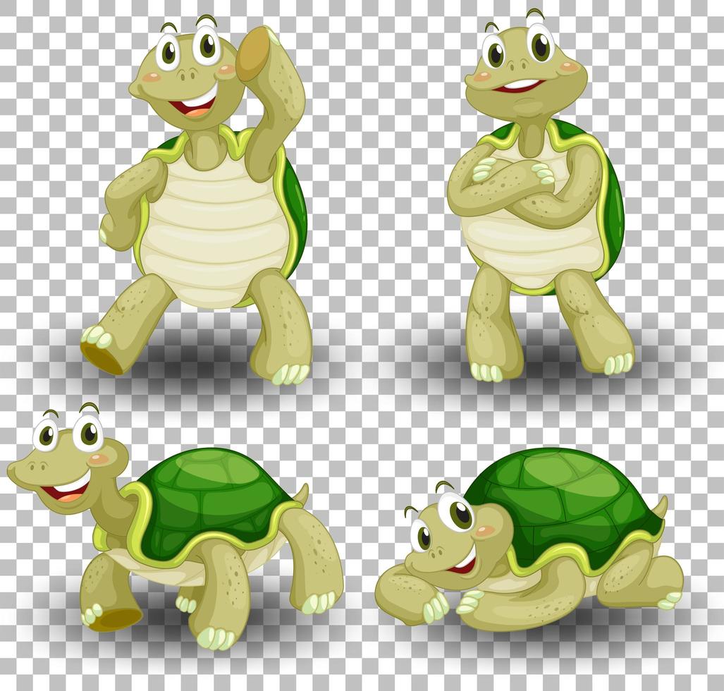 Set of cute turtle on transparent background vector