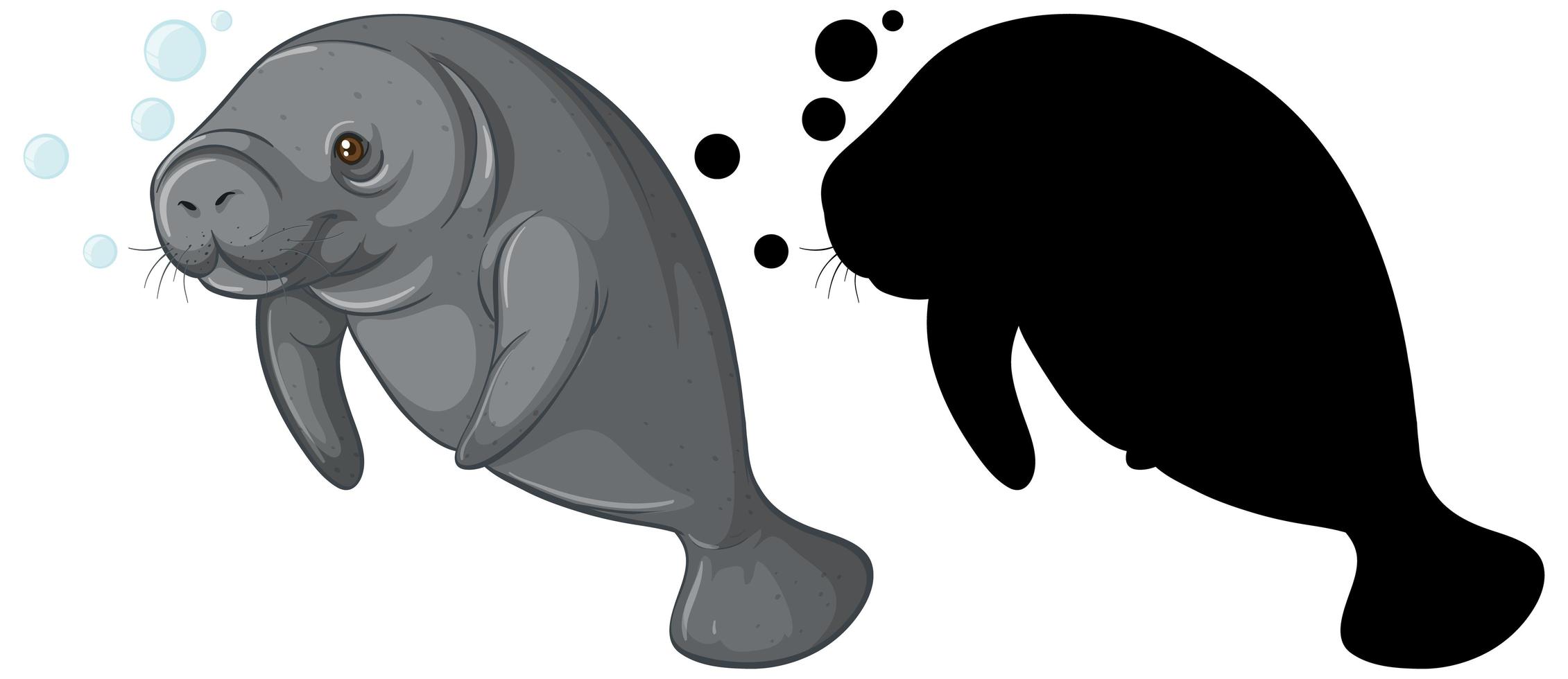 Conjunto de caracteres dugong y su silueta sobre fondo blanco. vector