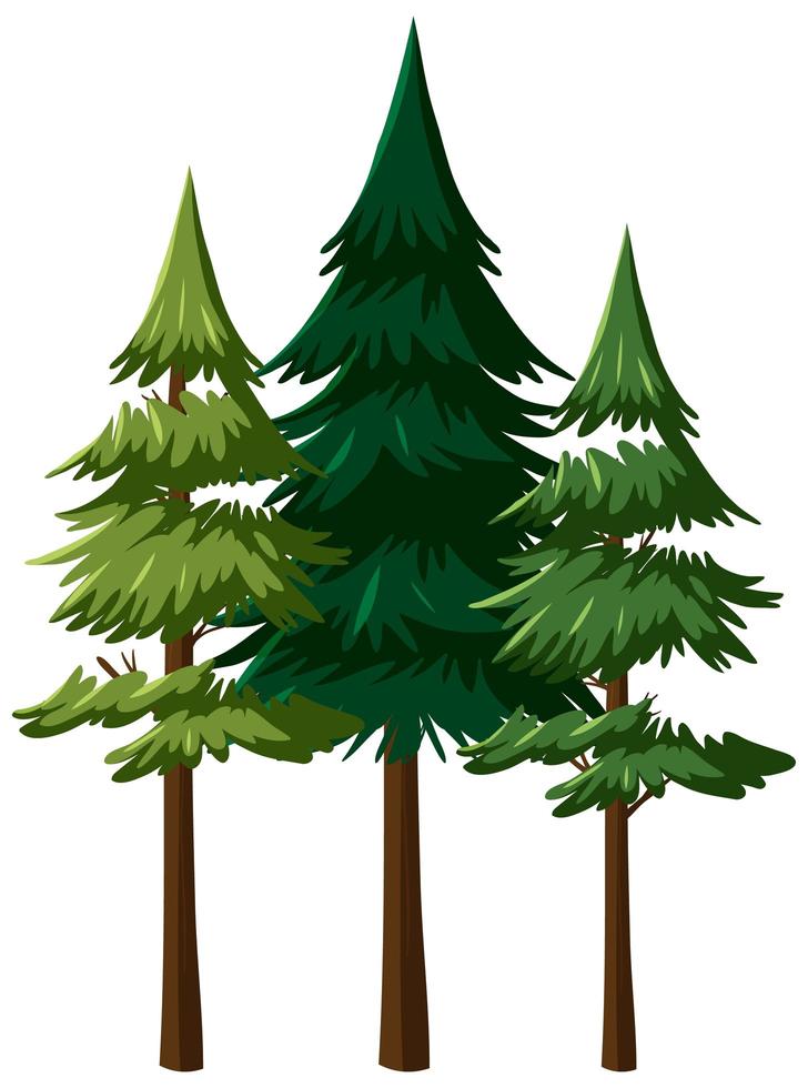 Isolated tree on white background vector