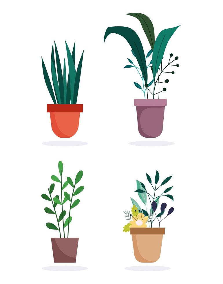 conjunto de iconos de plantas en macetas vector