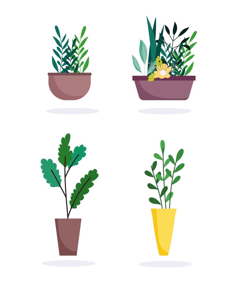 conjunto de iconos de plantas en macetas vector