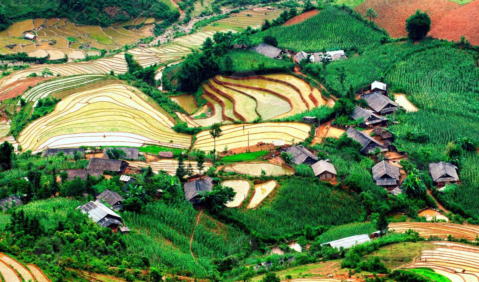 Rice fields on terraced of Mu Cang Chai, YenBai, Vietnam. photo